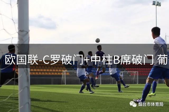 欧国联-C罗破门+中柱B席破门 葡萄牙3-1波兰